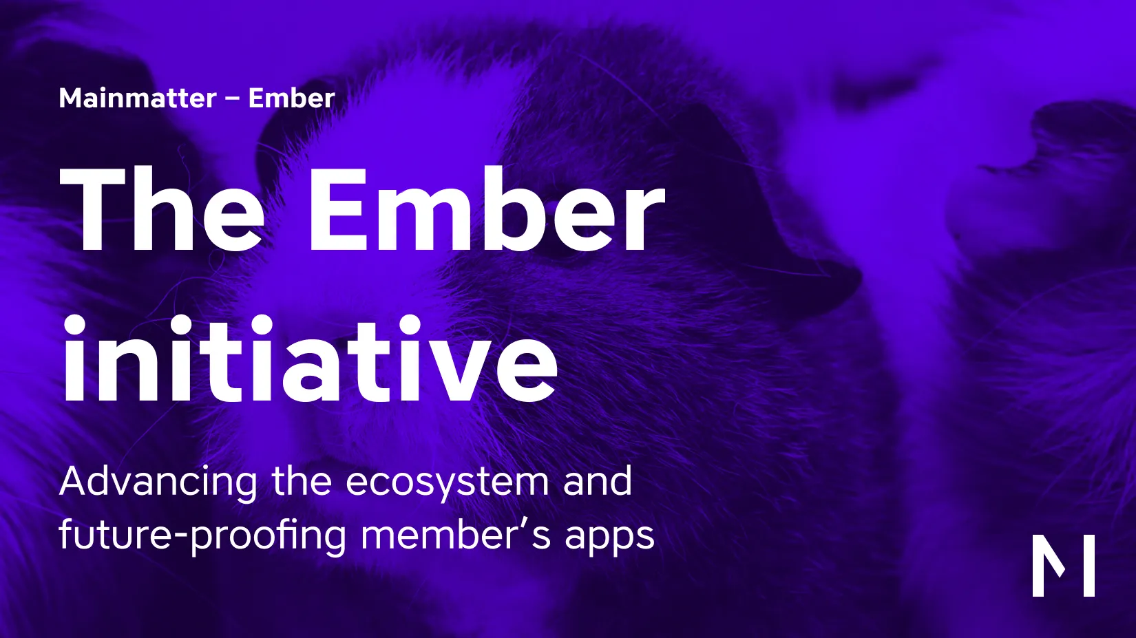 Ember Initiative - Mainmatter