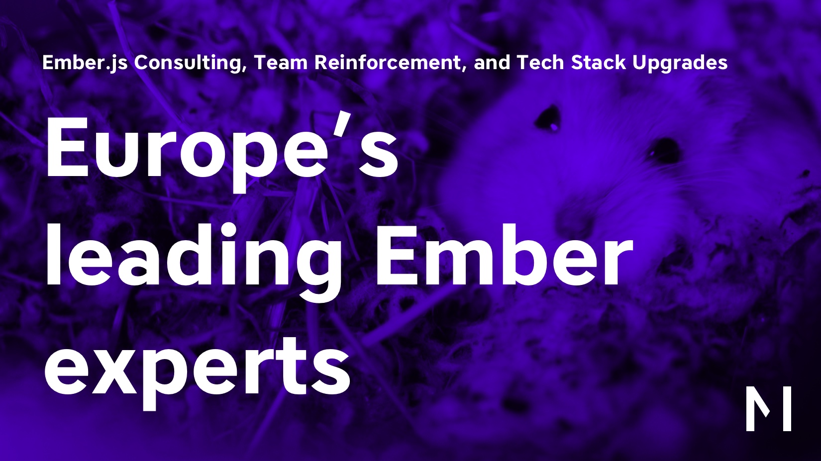 Europe’s leading Ember experts | Ember consulting | Mainmatter