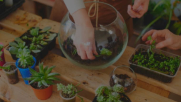 Two people arranging plants in rounded transparent pot placed in a table surronded by other smaller pots with  plants.