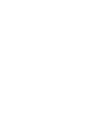 Svelte Summit logo